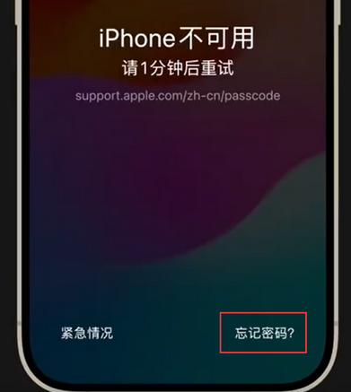 三都镇苹果手机密码维修分享iPhone忘记了刚设置的密码 