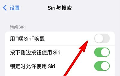 三都镇苹果13维修分享iPhone 13怎么唤醒 Siri  